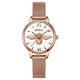 Rose Gold 2