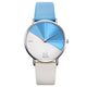 Blue White